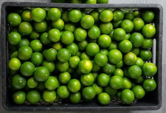 Limones recién cosechados en canastilla