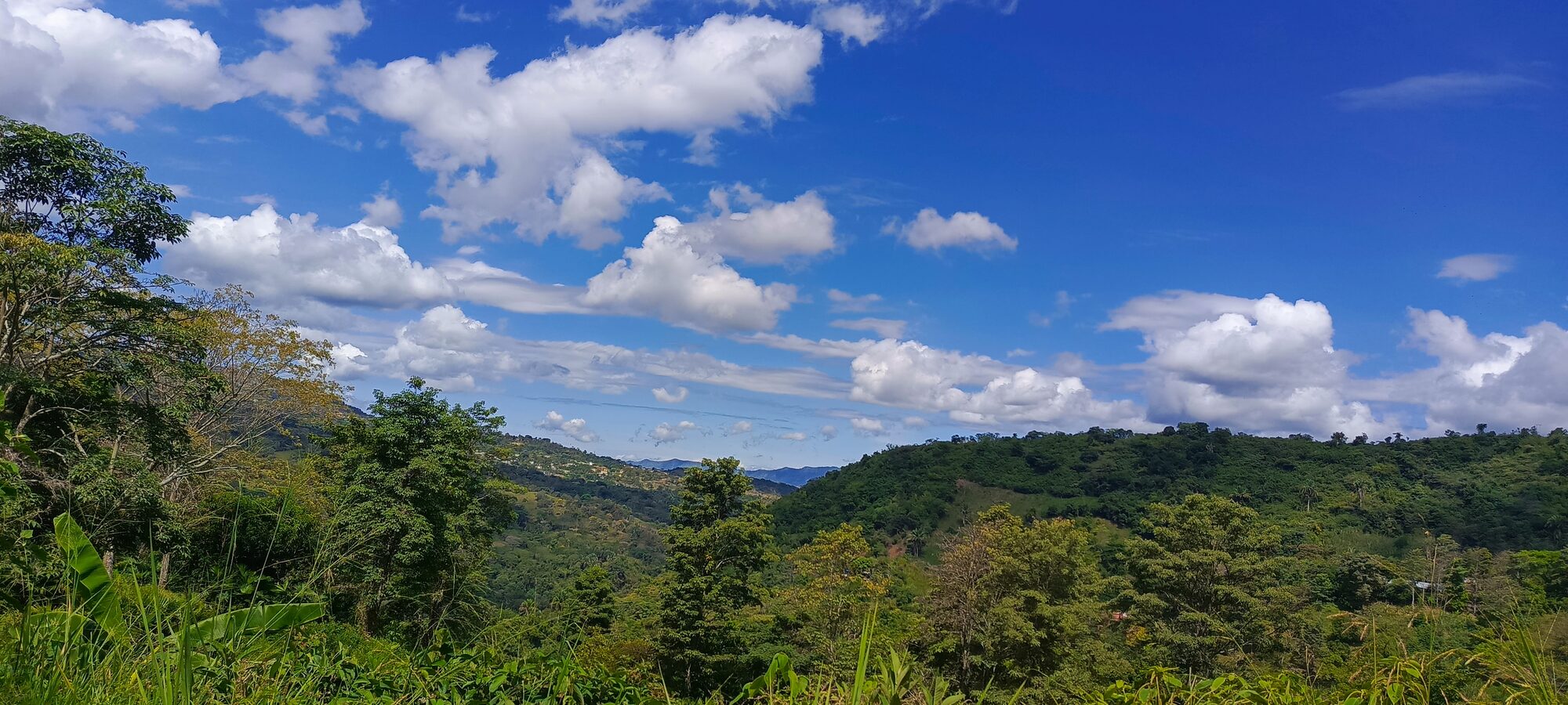 Vista de nuestra finca agroecológica en La Mesa, Cundinamarca